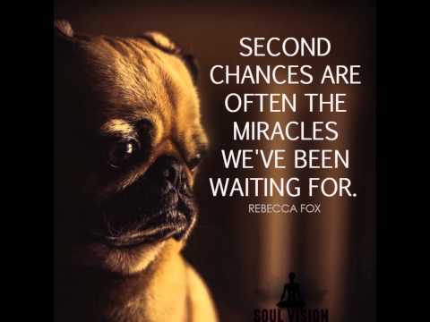 download lagu mp3 mp4 Soul Vision Healing, download mp3 Soul Vision Healing free download, download mp3 Soul Vision Healing