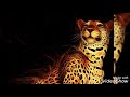 View 12 Jaguar Cool Black Panther Animal Wallpaper