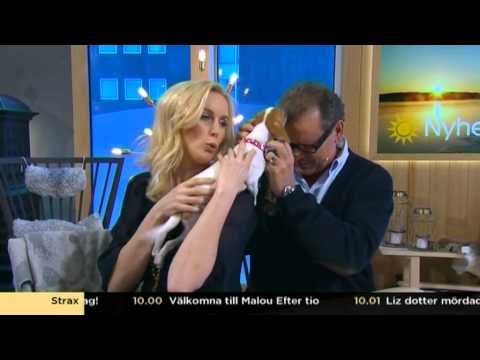 "Å sockan - vilken underbar hund"