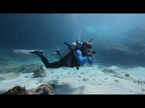 Regulator Recovery and Clearing - PADI IDC Skills Circuit • Neutrally Buoyant