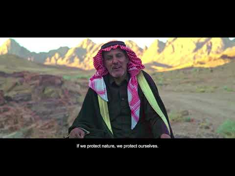 Sinai Trail: Bedouin & Climate Change