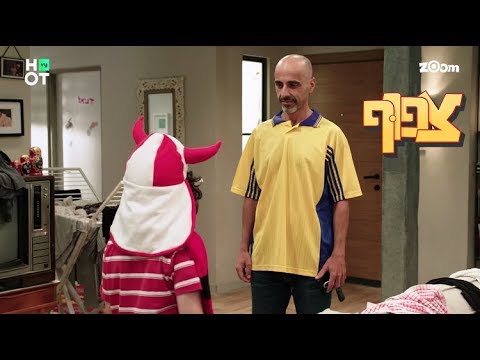 צפוף 3 - דרבי במשפחת חי-בר