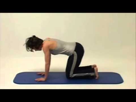 Pilates.de - Übung: Happy Elephant