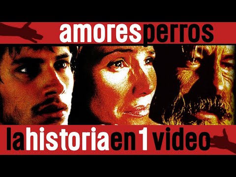 Amores Perros: La Historia en 1 Video