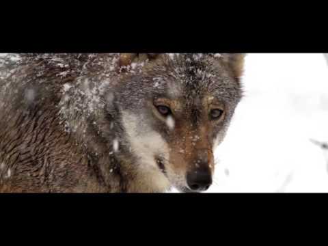 ABRUZZO, ITALY - Uno Spot Per L'Abruzzo