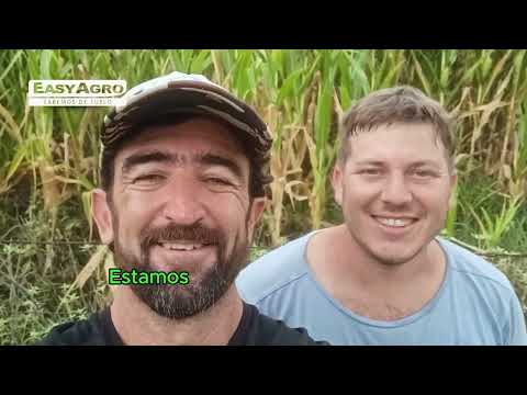 Experiencia EasyAgro: productor Eugenio Pechenino, EL CANDIL, Vicuña Mackenna, Córdoba