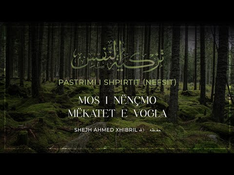 06| PASTRIMI I SHPIRTIT | Mos i nënçmo mëkatet e vogla