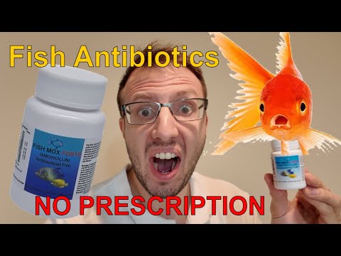 Licensed Pharmacist Reviews Fish Antibiotics!