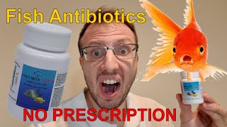 Licensed Pharmacist Reviews Fish Antibiotics!