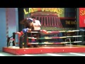 Orangutan Boxing Mp4