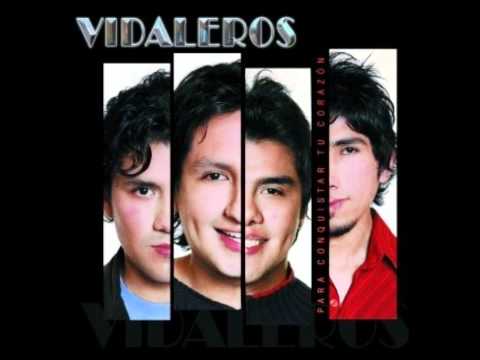 Vidaleros Falsas Caricias