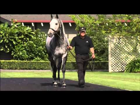 Russell Warwick on Reliable Man