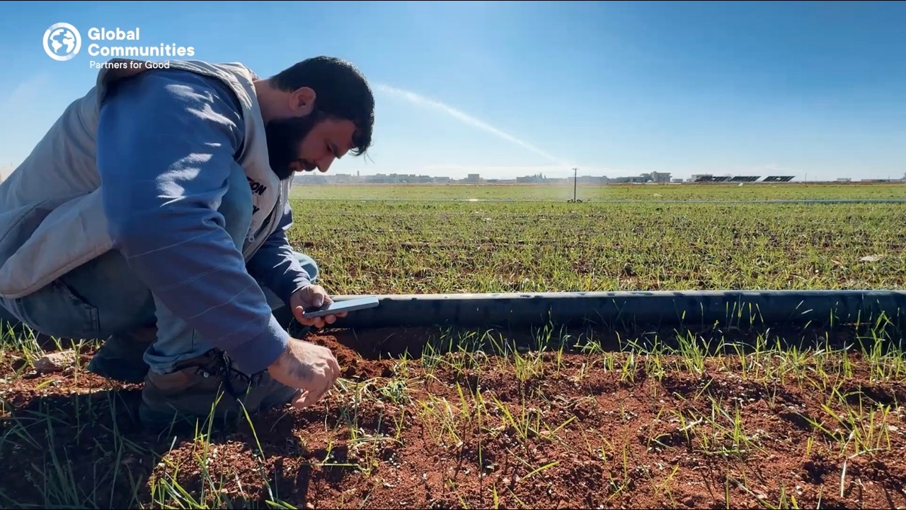 Seeds of Stability: Supporting Farmers & Families in Northwest Syria