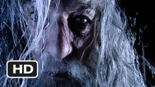 The Lord of the Rings: The Fellowship of the Ring (2001) Video