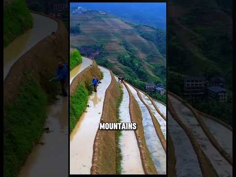 No Land? NO PROBLEM! How China Farms on Hills #farming #shorts #short