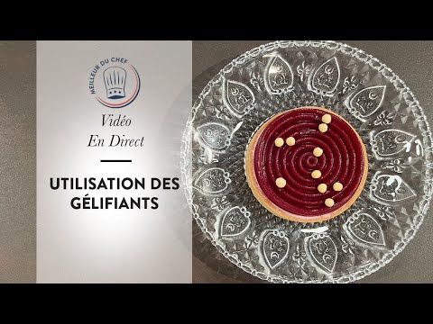 , title : 'Vidéo en Direct : L'Utilisation Des Gélifiants'