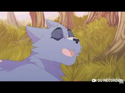 Белогривка и Синяя звезда-Судьба тебя подарила