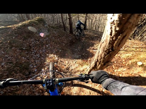 Gorjanci trails // Laška 2. del
