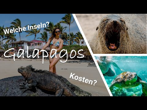 GALAPAGOS INSELN URLAUB | Kosten, Highlights & Tipps für 1 Woche Inselhopping