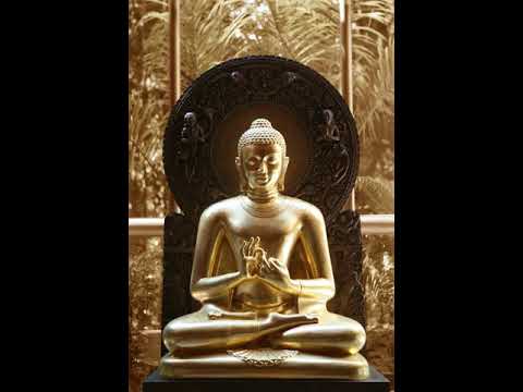 22 Practice Kaya   Vedana & Cittanupassana