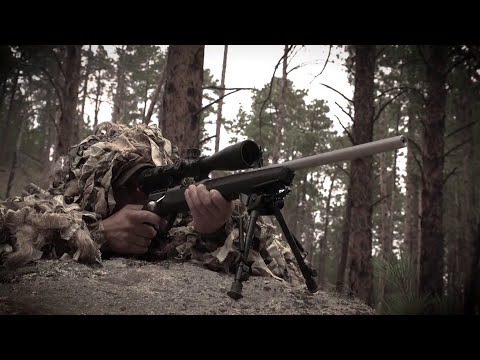 Great Caliber no Recoil