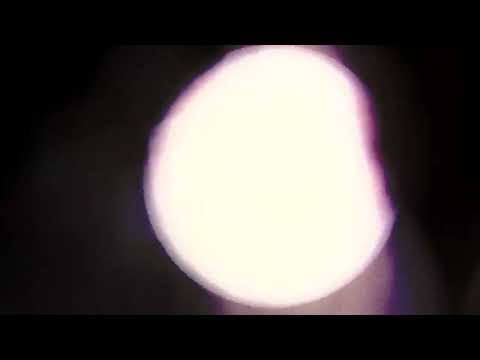 Steve Bates | "Glistening"