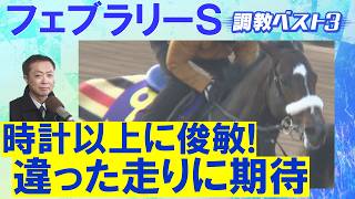 【あのGⅠ馬がランク外！1位はなんと…】コスタノヴァ、ダブルハートボンド、ウィルソンテソーロ・・・ダート王決定戦！競馬エイト・高橋賢司トラックマンの調教解説＜フェブラリーステークス(ＧⅠ)＞