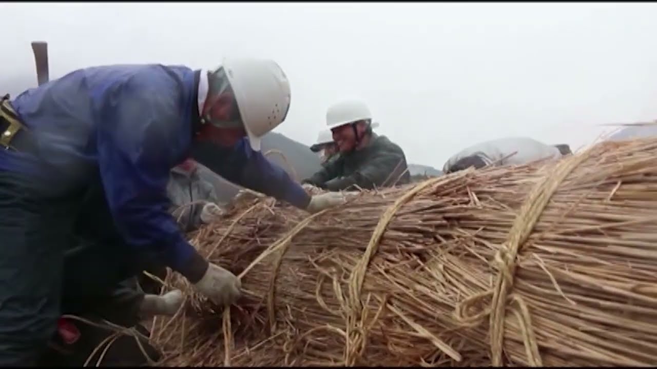 Traditional skills, knowledge for the conservation and transmission of wooden architecture in Japan
