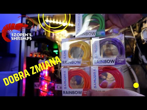 TAK NIEWIELE TRZEBA -  ROBI WRAŻENIE /  AKWARIUM MORSKIE OD A DO Z / Samudra Rainbow