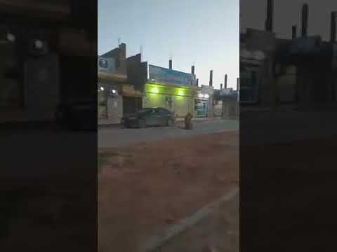 أسد جائع يتجول في شوارع بنغازي الليبية