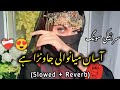 Asan Mianwali Jawna Hai Slowed Reverb سرائیکی سونگ آساں میانوالی جاوانا