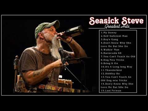 Best Seasick Steve Songs - Seasick Steve Greatest Hits - Seasick Steve Full Album