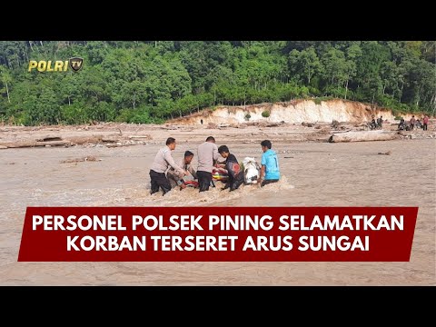 PRESISI UPDATE : PERSONEL POLSEK PINING SELAMATKAN KORBAN TERSERET ARUS SUNGAI 11/01/2026 (18.30)