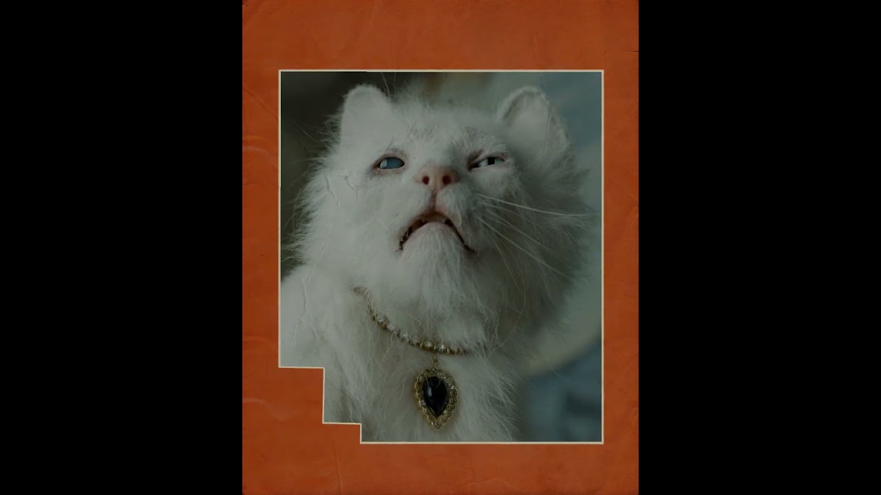 Video náhled