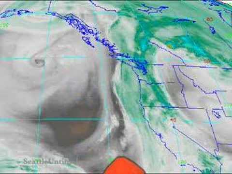 Seattle Untimely - Space Bear Weather Report