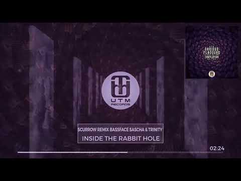 Scurrow (Remix) Bassface Sascha und Trinity - Inside The Rabbit Hole