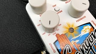 Video thumbnail for EHX Canyon - Sample & Hold by 60 Cycle Hum