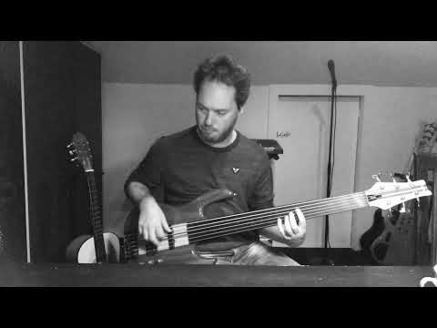 Talk Talk - It's You fretless bass cover