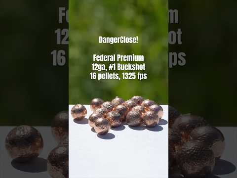 Federal Premium #1 Buckshot, 16 pellet copper plated - Coach Gun, DangerClose