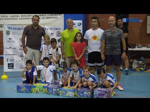 Los pequeños campeones del torneo 'Polillas'