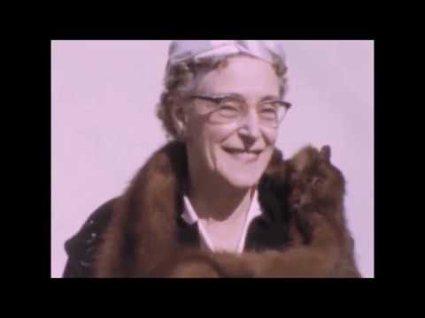 SCBC 1958 South Camberwell Bowls Club