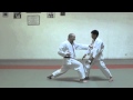 Heian Nidan Bunkai JKA Karate KarateCoaching