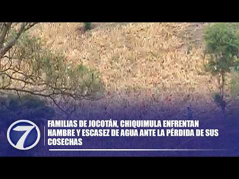 Familias de Jocotán, Chiquimula enfrentan hambre y escasez de agua ante la pérdida de sus cosechas