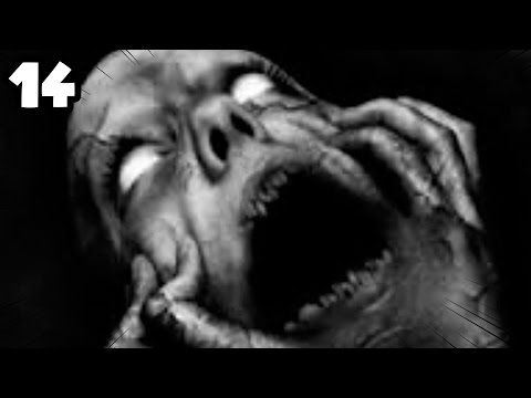 Pokémon N2 DualLocke Ep.14 - MIEDO ABSOLUTO