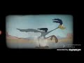 Warner Bros Splatter En Cartoon Network 2009 Fake