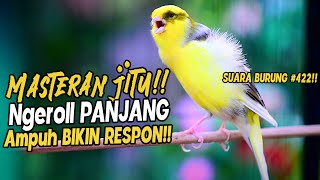 Download lagu SUARA BURUNG |422| Kenari GACOR PANJANG INI Cocok untuk Masteran KENARI PAUD dan Kenari Macet BUNYI mp3