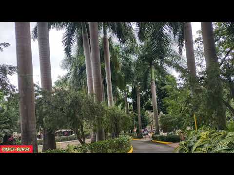 SO CURLY GOT BAPTIZED TODAY 