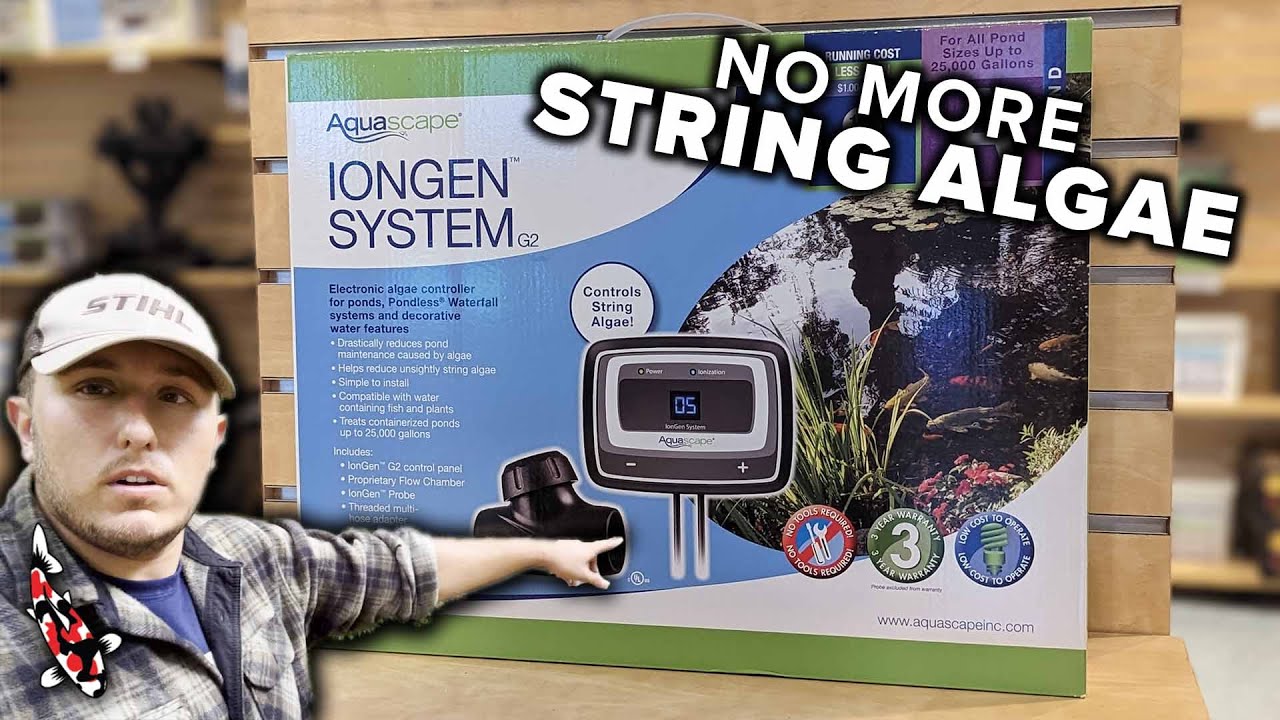 How To Use An Aquascape IonGen (Get Rid Of String Algae FAST!)