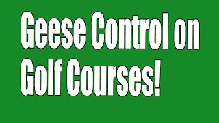 Geese Control on Golf Courses  -- Arvada Has Solved Their Goose Problem with the Goosinator