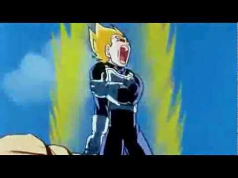 DBZ - From the Inside